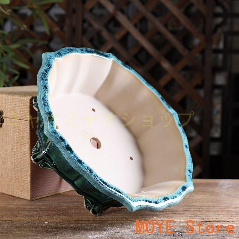 六方菱の鉢 多肉菖蒲盆栽