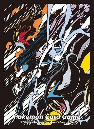 [Used] Supply Pokemon Card Game Deck Shield (Sleeve) Entei & Raikou & Suikun Pokemon Center Limited