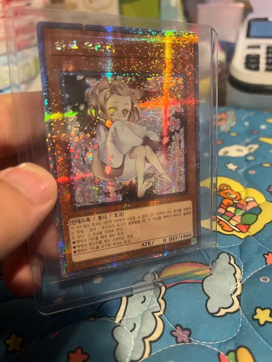 はるうらら qcac コナラ 準的