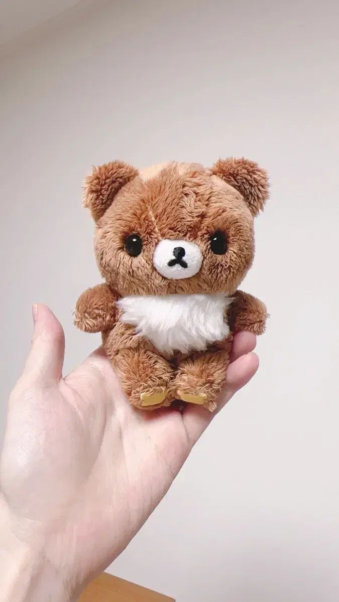 サンエックス リラックマ チャイロイ コグマ