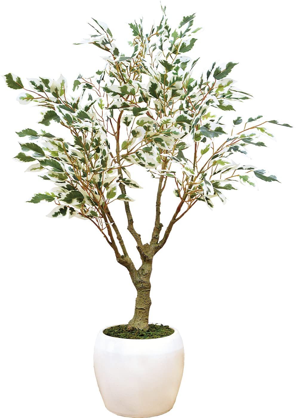 在庫 大きい 造花 観葉植物 光触媒 インテリアグリーン おしゃれ フィスカ 75cm 167365
