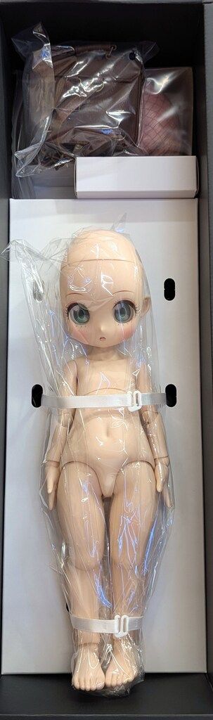 アーニャ フォージャー