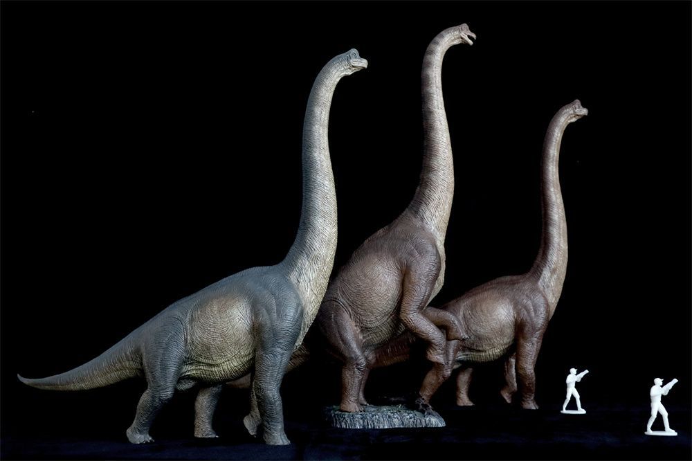 Nanmu 本心楠改 ブラキオサウルス 巨大 草食恐竜 模型 リアル フィギュア ブラウン IMPECCABLEHEALTHCARESERVICES_COM