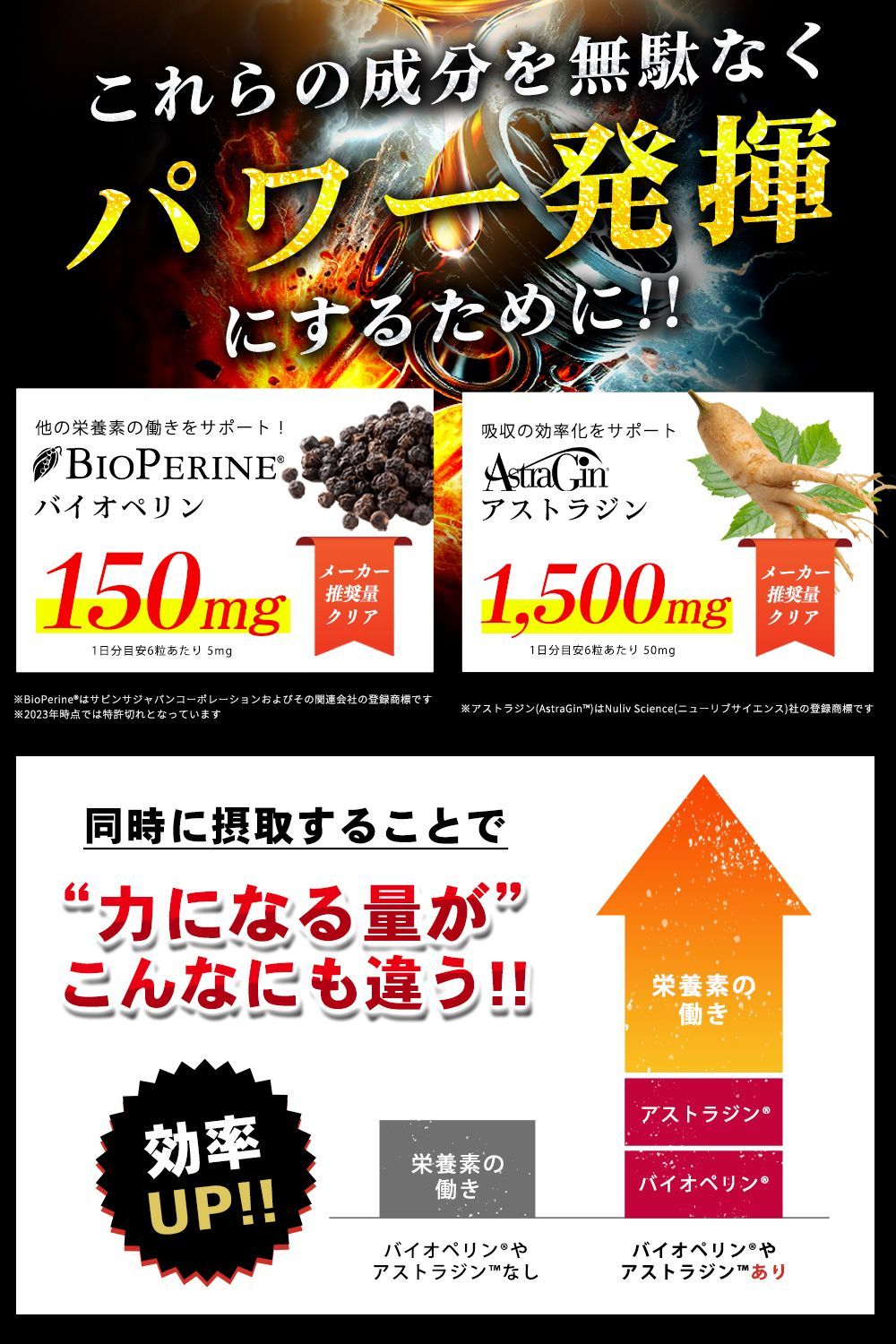 滋養 活力