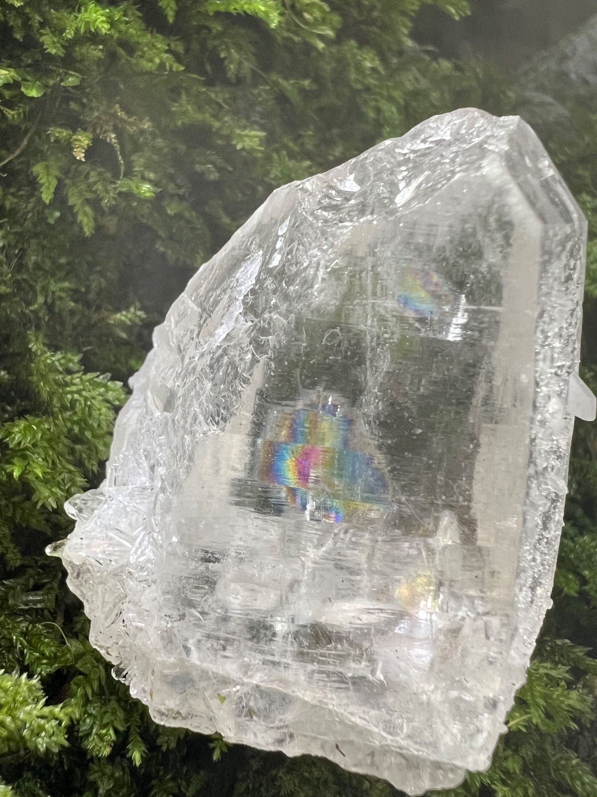 龍脈の精髄 ― 虹入り水晶 純白の守護と浄化の光 売上の一部は保護猫活動に使用