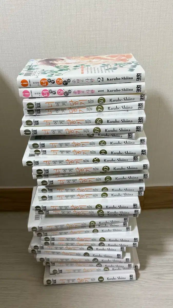 あなたに 届け 全巻 番外編 含む