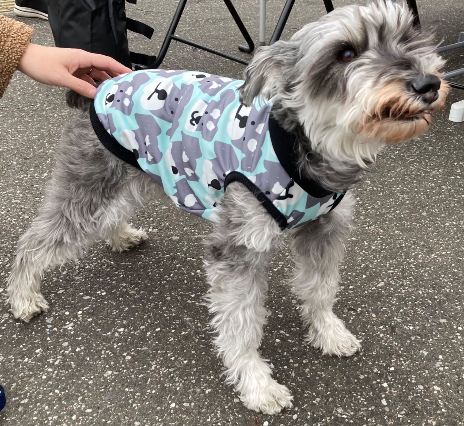 犬服　ナツココ　ハンドメイド 犬服 ナツココ様専用 ハンドメイド