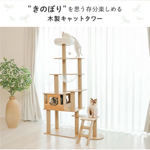 ワイドタイプ