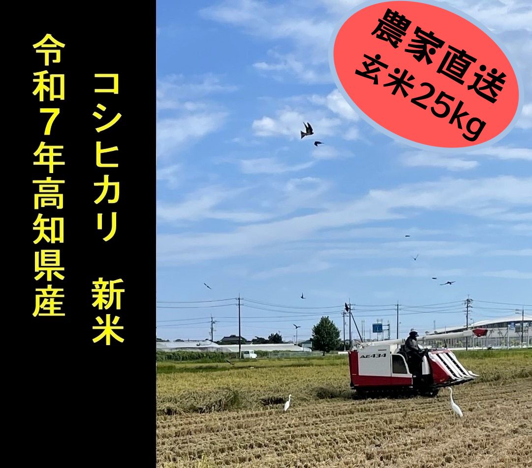 ◇◇ 令和7年産 ◇◇ 新米 100％ コシヒカリ 玄米25kg - メルカリ
