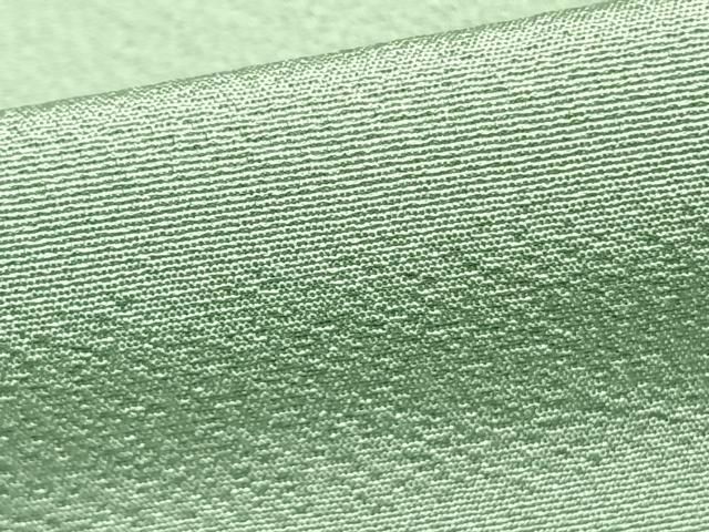 上質な色無地 単衣