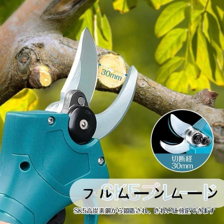 充電式
