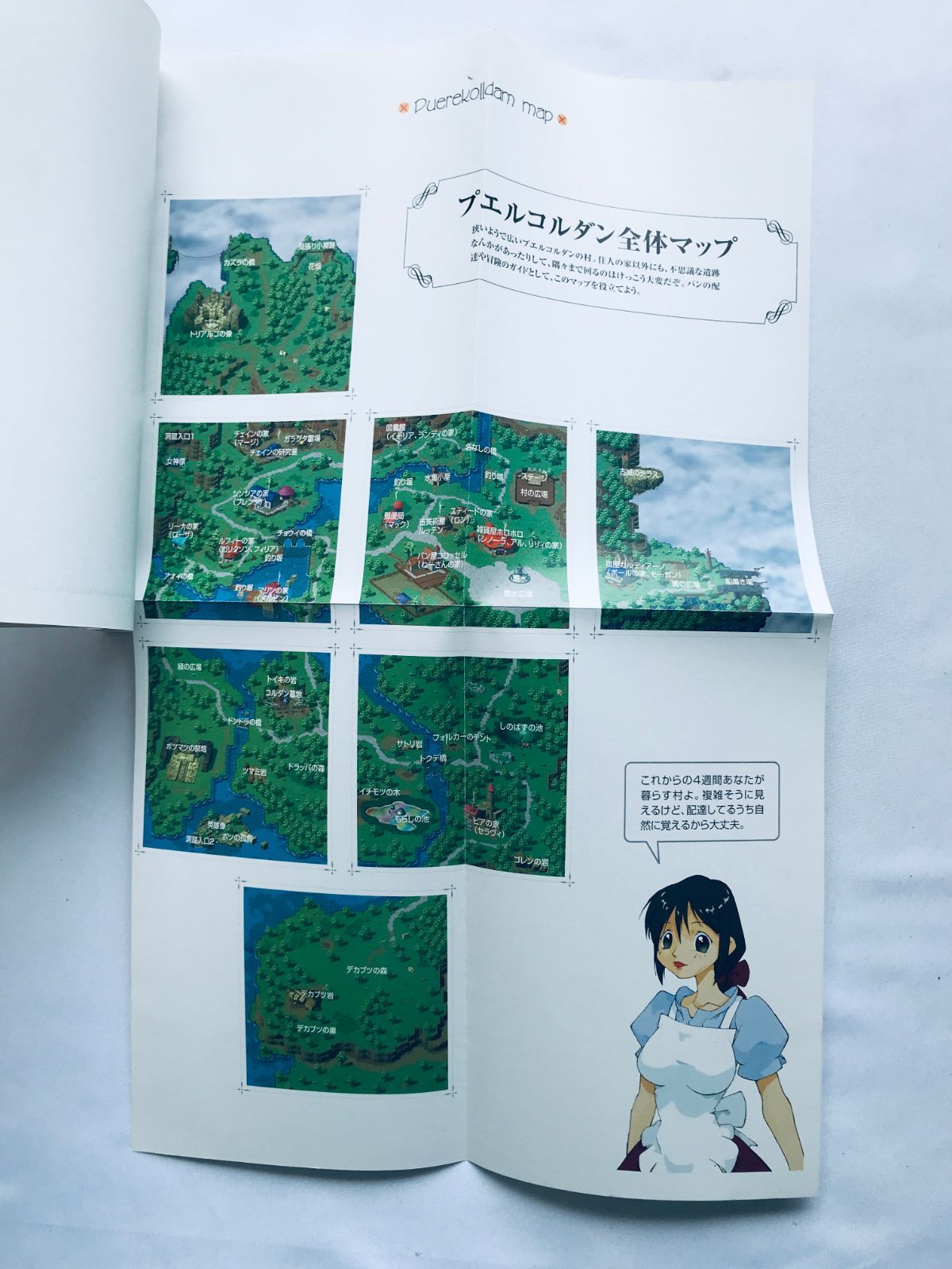 Official Guide