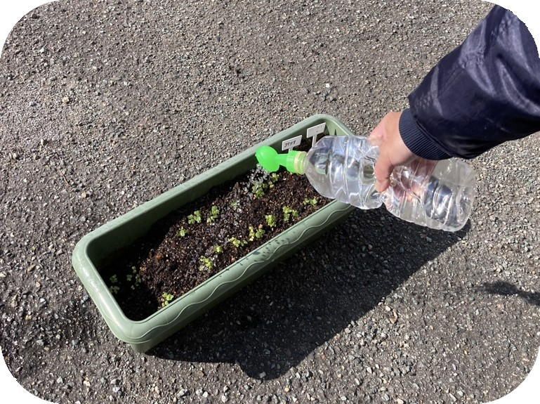 500ｍｌ １２本セット