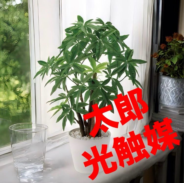 ショップ 【現品限り】【早い者勝ち】ゼンリン住宅地図 長野県松本市