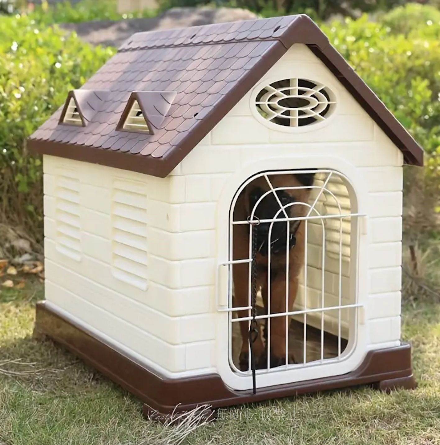 小型猫 中型猫