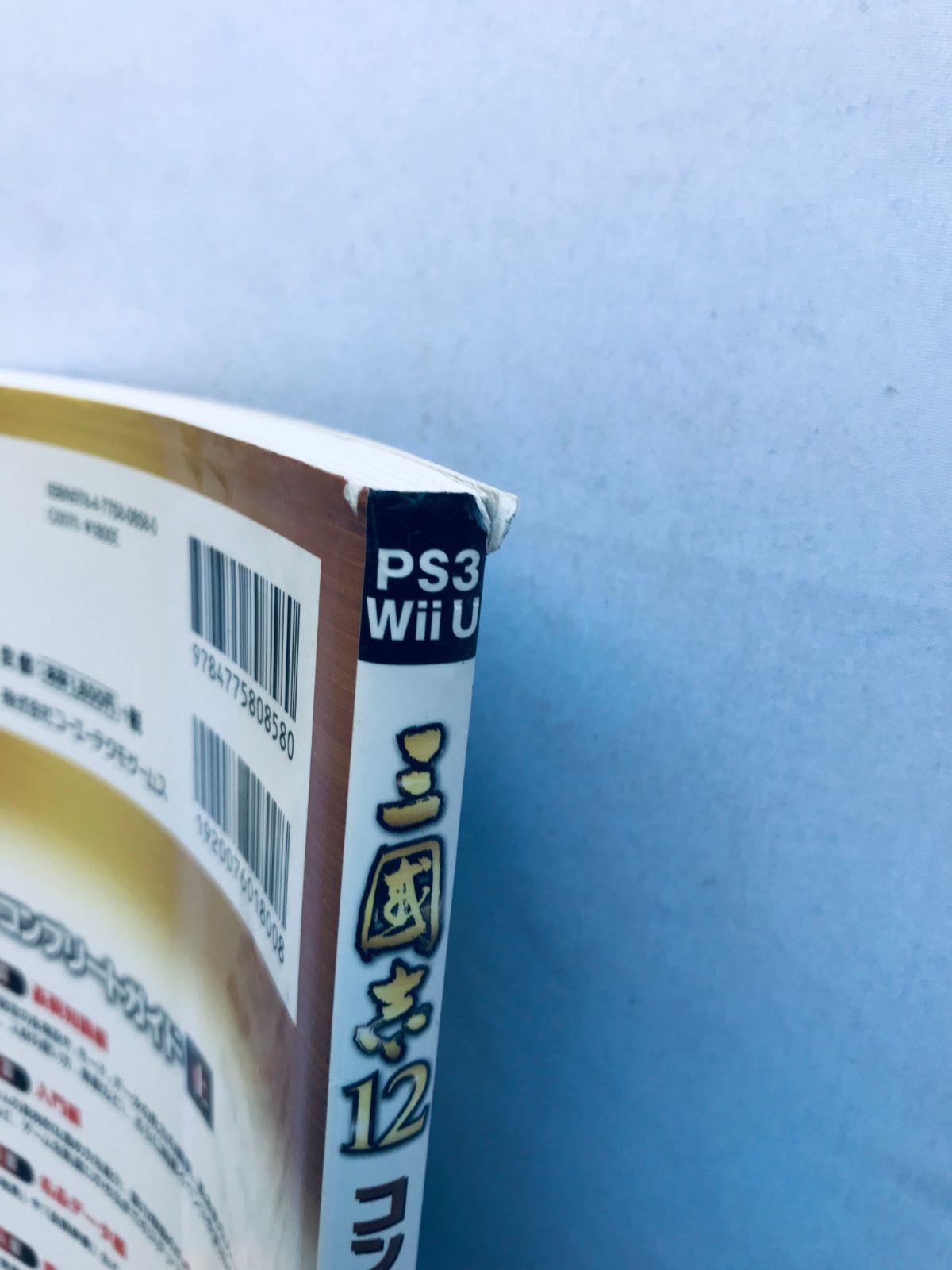 九龍妖魔學園紀 公式ファイナルガイド PS2 攻略本 初版 私立天香學園