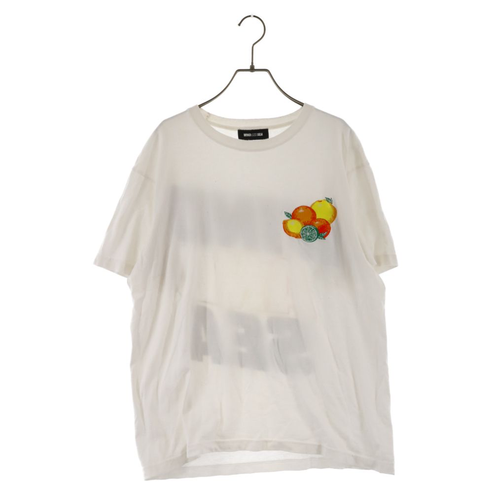 WIND AND SEA (ウィンダンシー) 21SS JUICY-FRESH T-SHIRTS バックロゴ