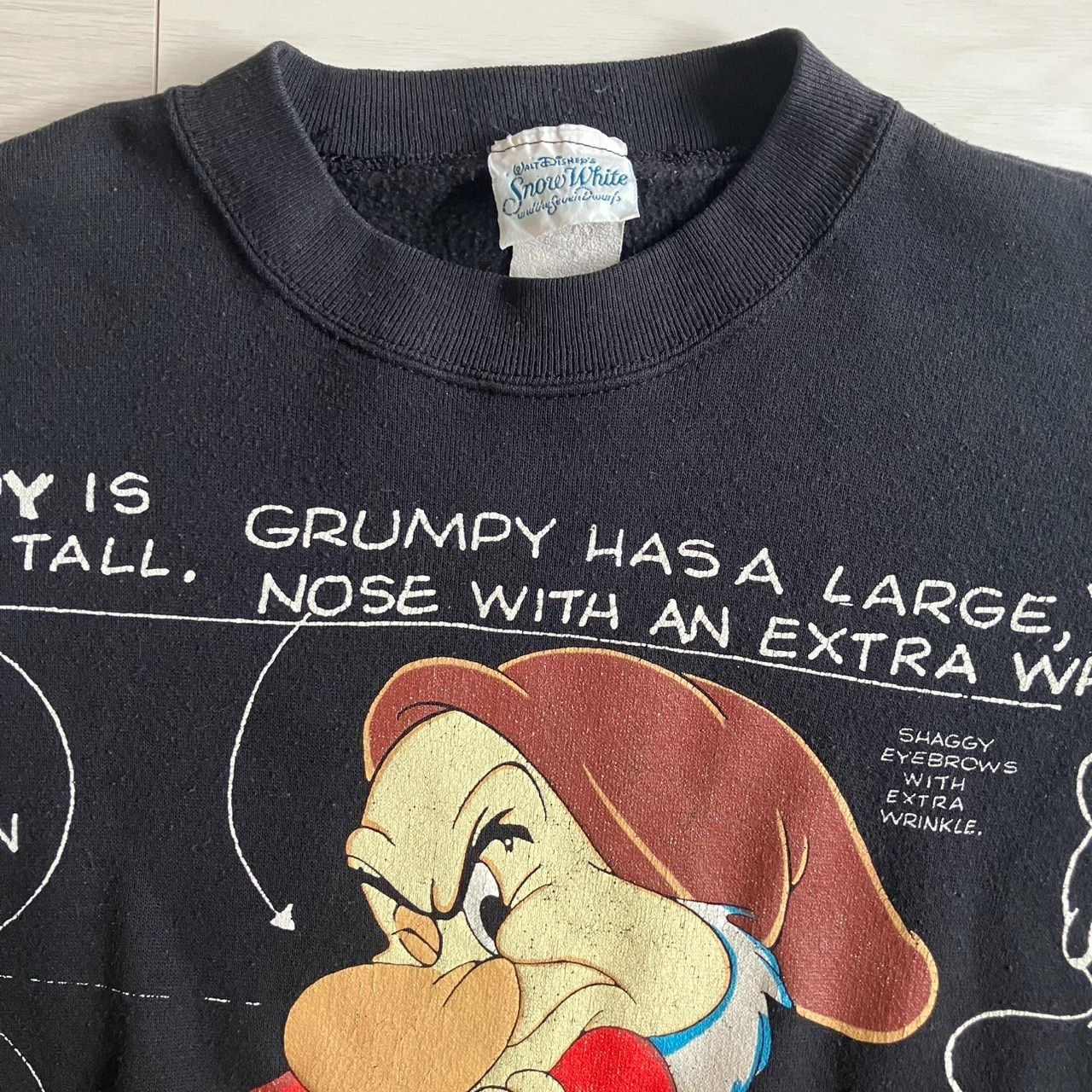 藤ヶ谷太輔 着用 7人のこびと Grumpy XL スウェット ディズニー