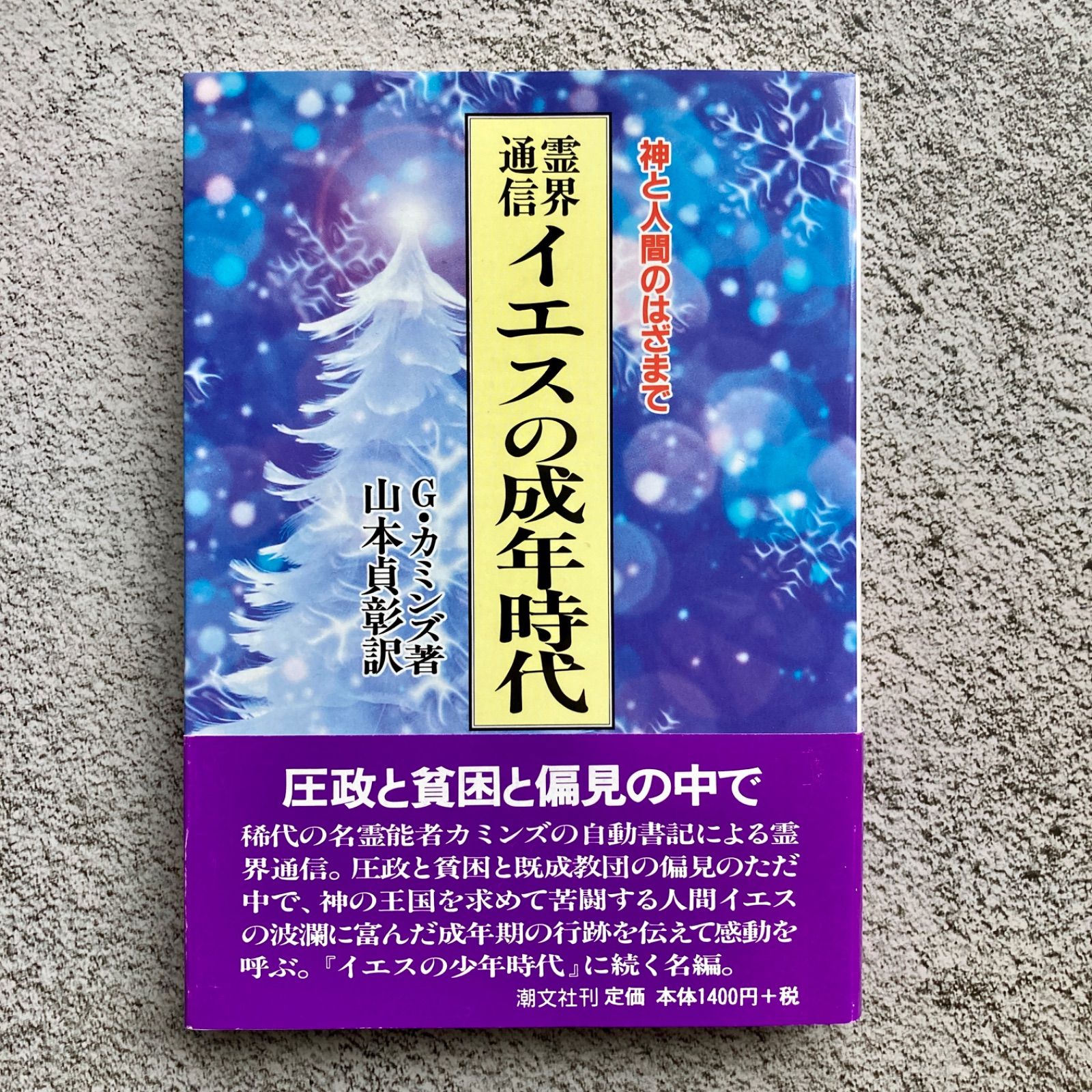 霊界通信イエスの成年時代 : 神と人間のはざまで