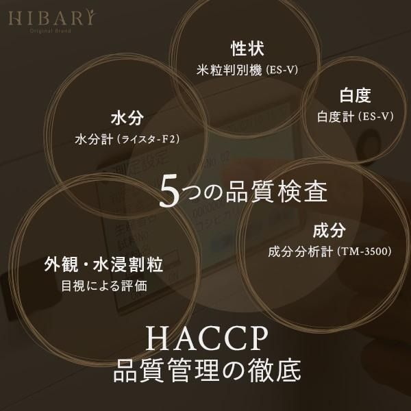 新米 令和5年産 新潟産こしひかりHIBARI 10kg 白米 令和4年産 玄米