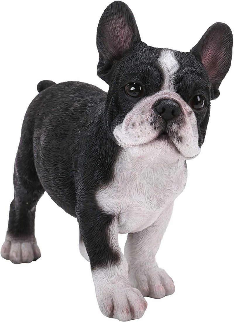 リアルな外観の、立っているフレンチブルドッグの子犬 置物像、彫像、彫刻 （輸入品）ギフト、獣医 ドッグカフェ、幼稚園 児童館(輸入品)