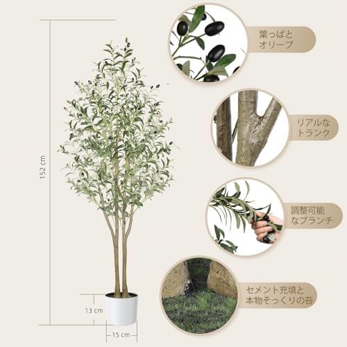 観葉植物