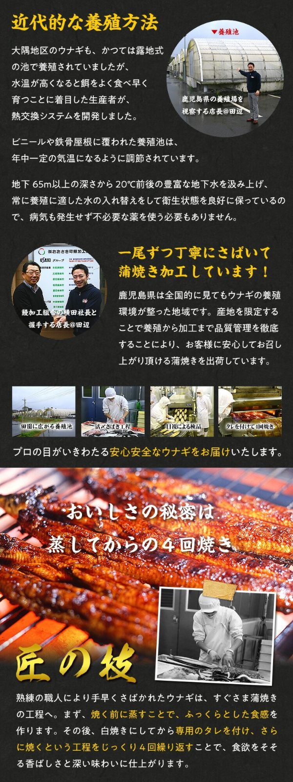 国産うなぎ蒲焼き大サイズ約155g前後×5本入り(約10人前)※タレ＆山椒付き-4