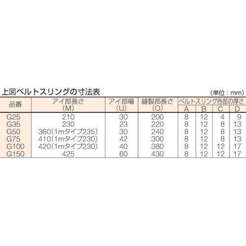 75mm_6.0m TRUSCOトラスコ ベルトスリング JIS3等級 両端アイ形 75mmX6