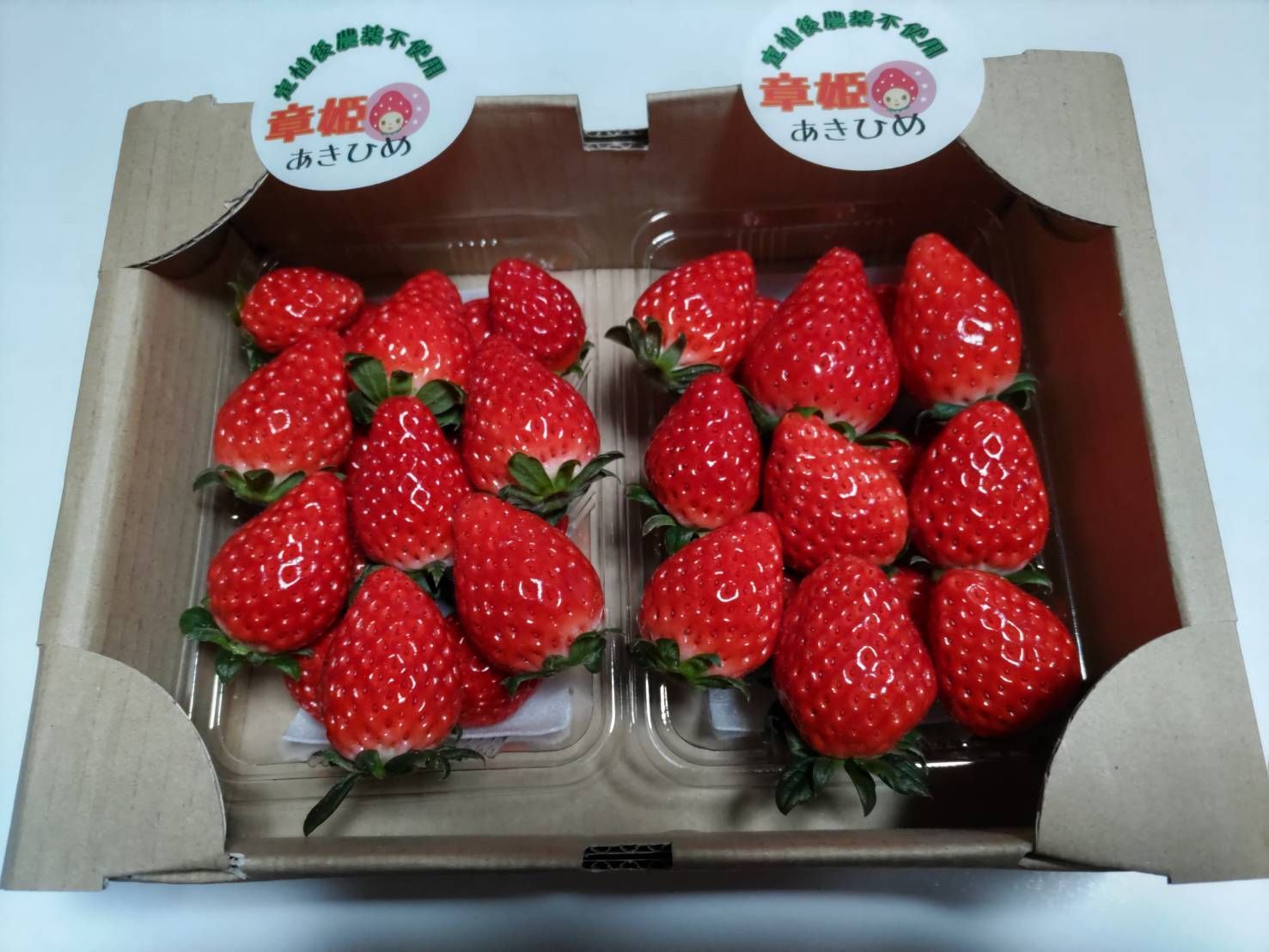 のサムネイル