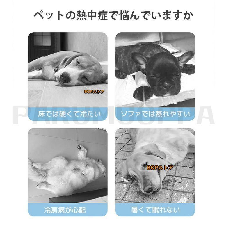 ハウス 猫