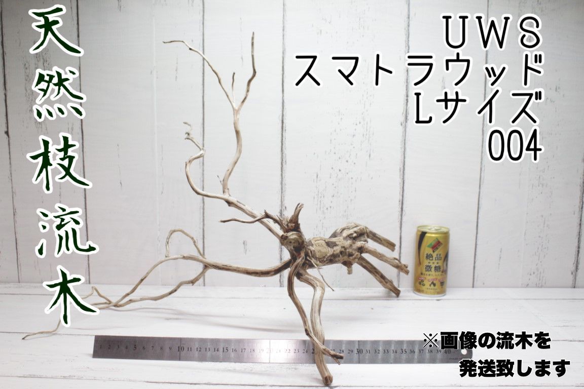 天然枝流木 UWS スマトラウッド Lサイズ 004 画像の流木を発送致します み 流木