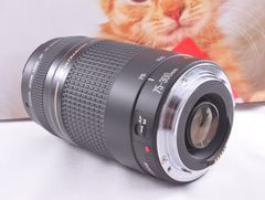 望遠はここから！Canon Zoom LENS EF75-300mm F4-5.6 USM イベントに大活躍 ！キヤノン 望遠レンズ Zoom LENS 交換レンズ 一眼カメラ EOS Kiss レンズフード