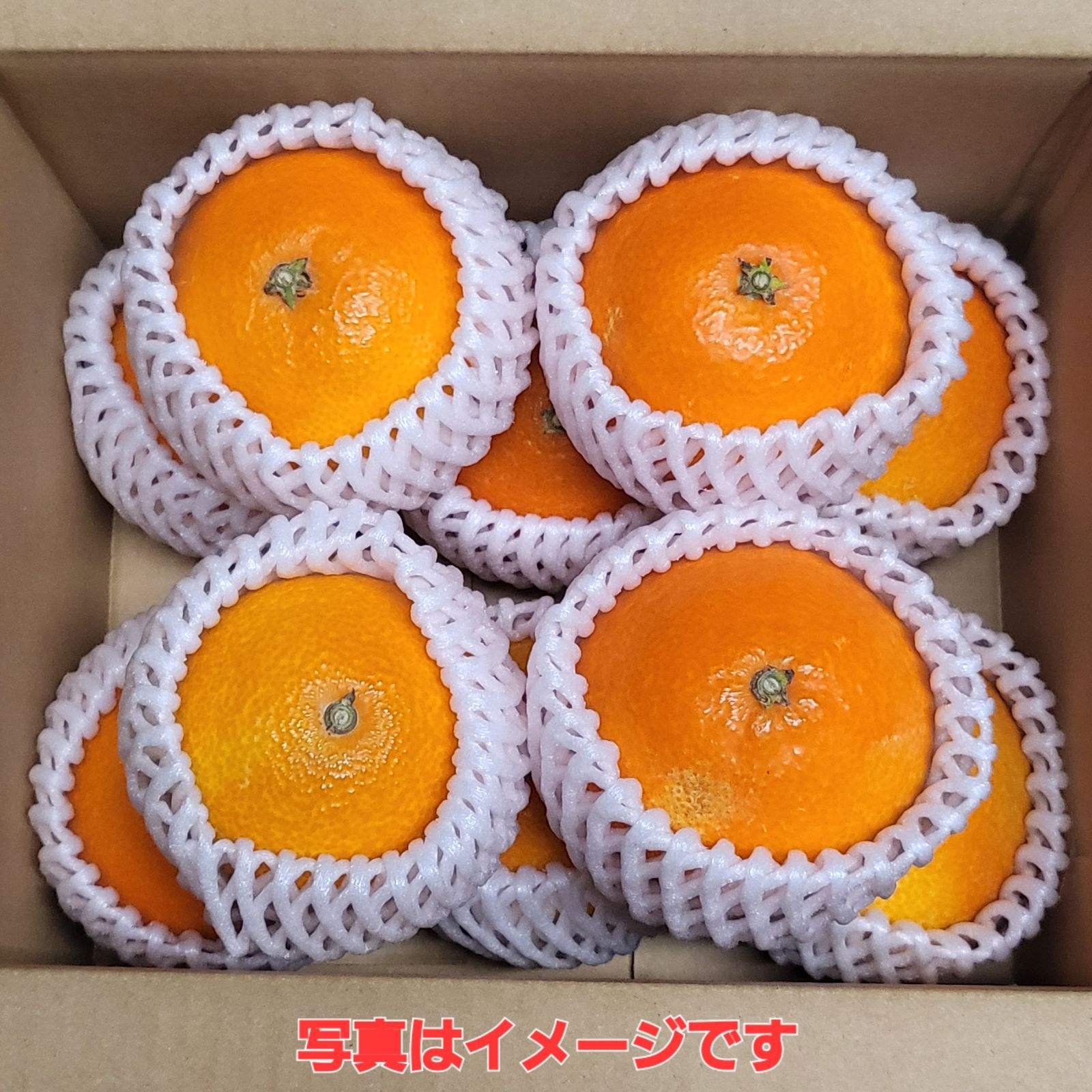 愛媛県産 愛果28号 特選M玉10キロ 空島まどんな