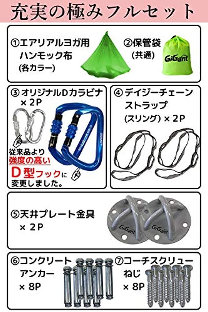 GiGant ギグアント 公式 エアリアルヨガ 専用 ハンモック オンライン