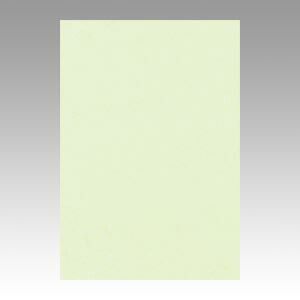 リンテック ニュー Ｒ 8 NCR 133 メロン