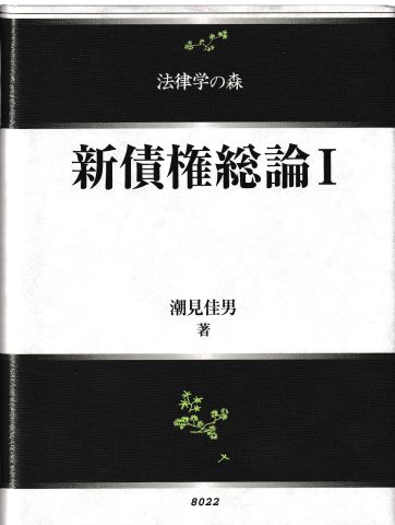 新債権総論1(法律学の森)
