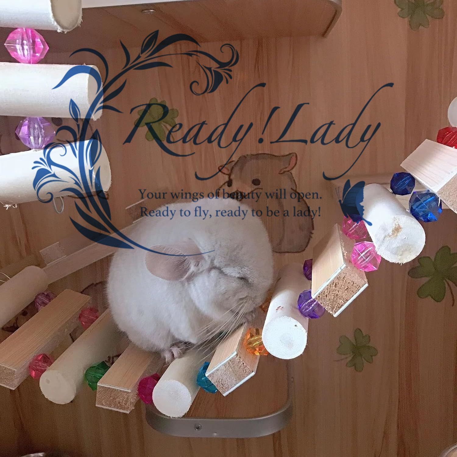 Niteangel 木製ケージ Amazon | Niteangel ハムスターケージ - MDF