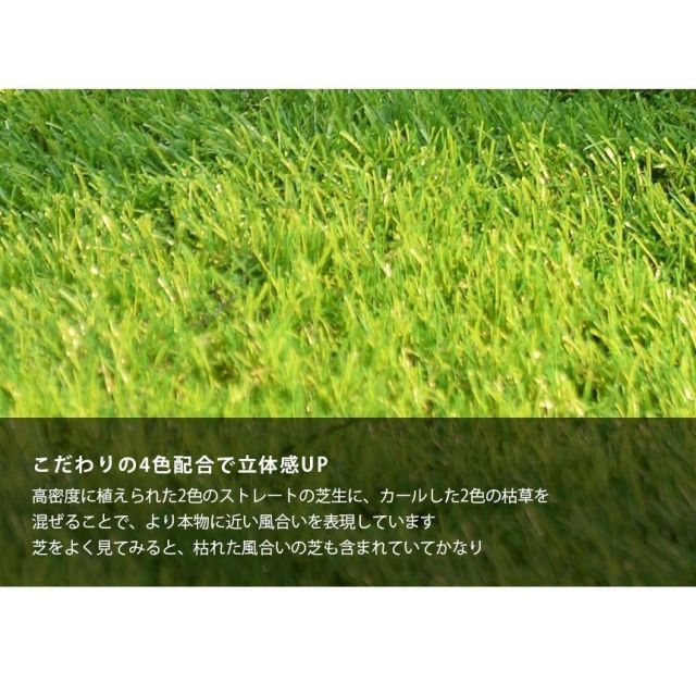 2m×10m