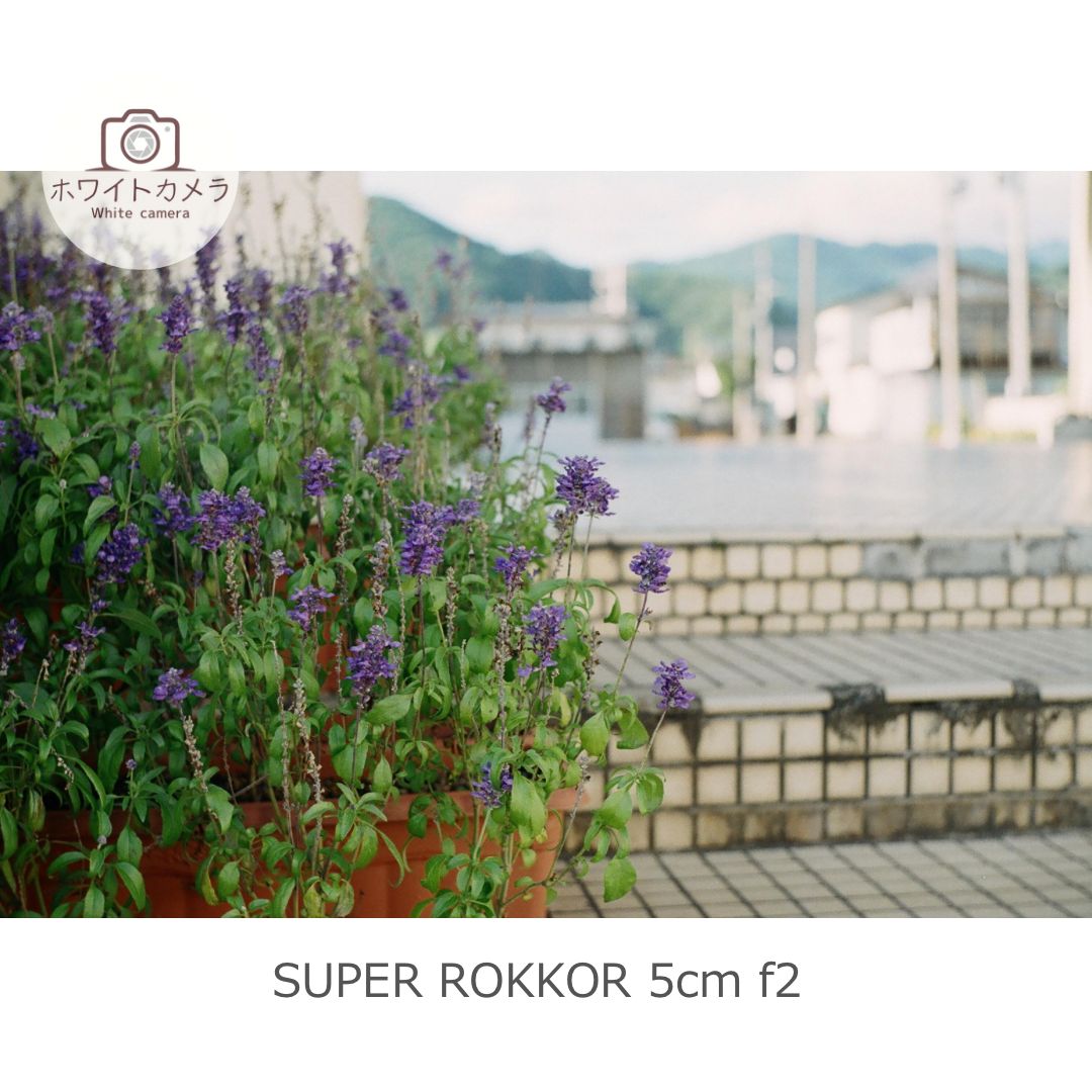 撮影例付き minolta