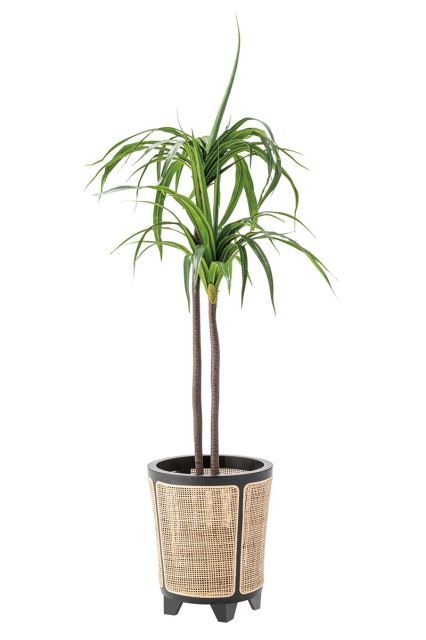 クーポン配布中-スーパー 対象 プランンターカバー W32×D32×H38 ナチュラル