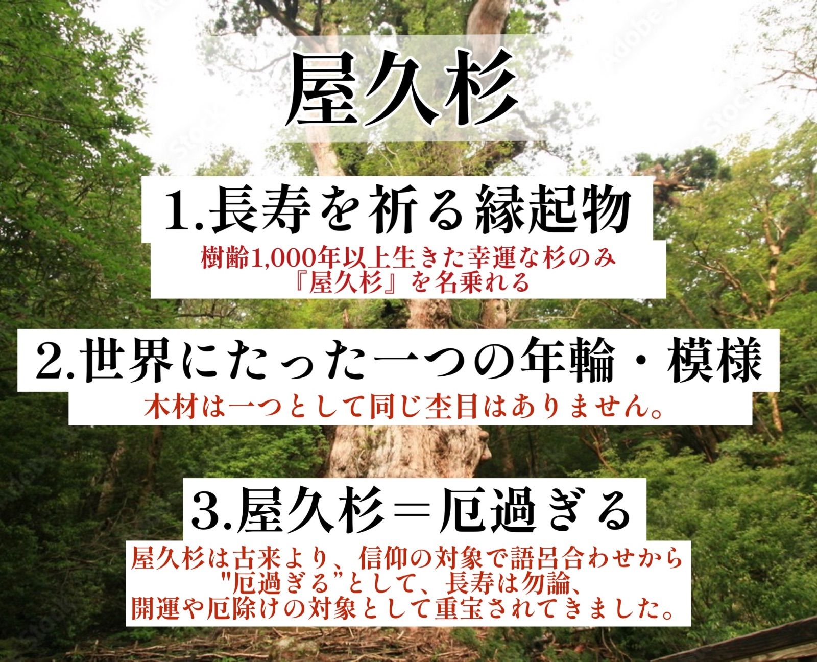 再販・世界に1本だけ】長寿の木・屋久杉の万年筆 - 金井工房 - メルカリ