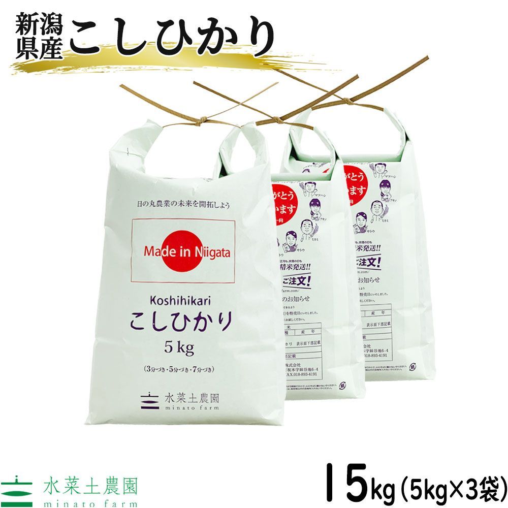 食品 白米 15kg 袋 精米済み