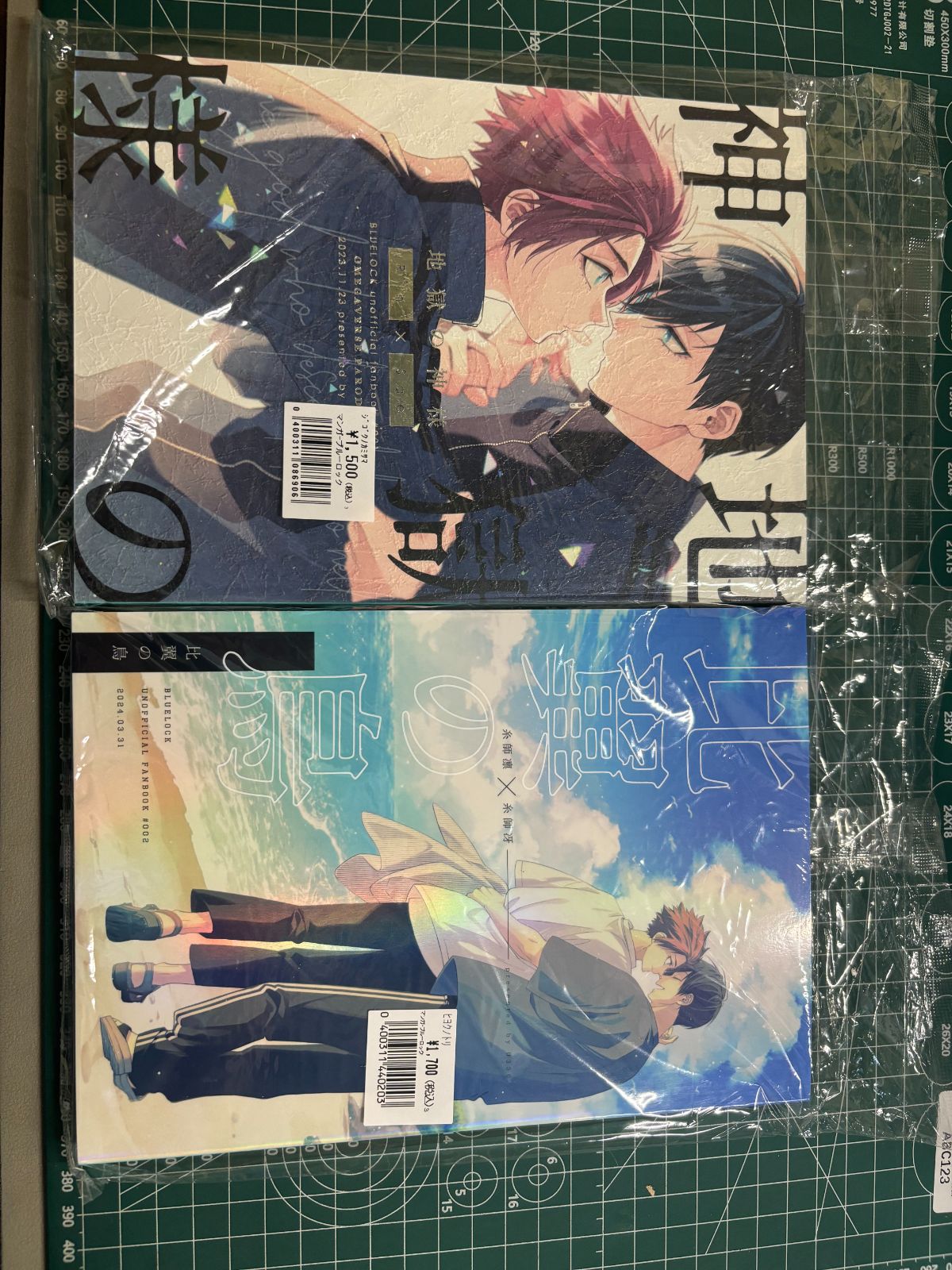 ブルーロック同人誌 2冊セット 糸師凛 糸師冴