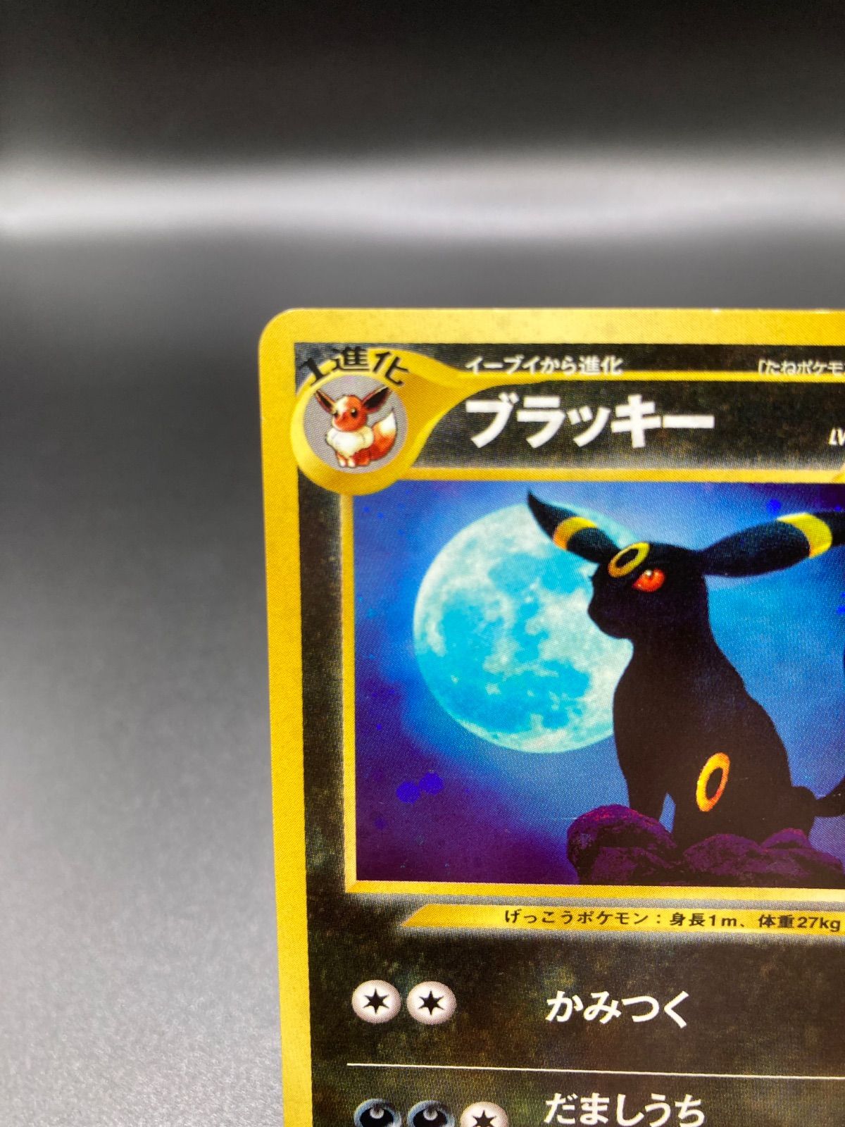 ブラッキー 旧裏 NEO2 遺跡をこえて PSA10 UMBREON PSA10