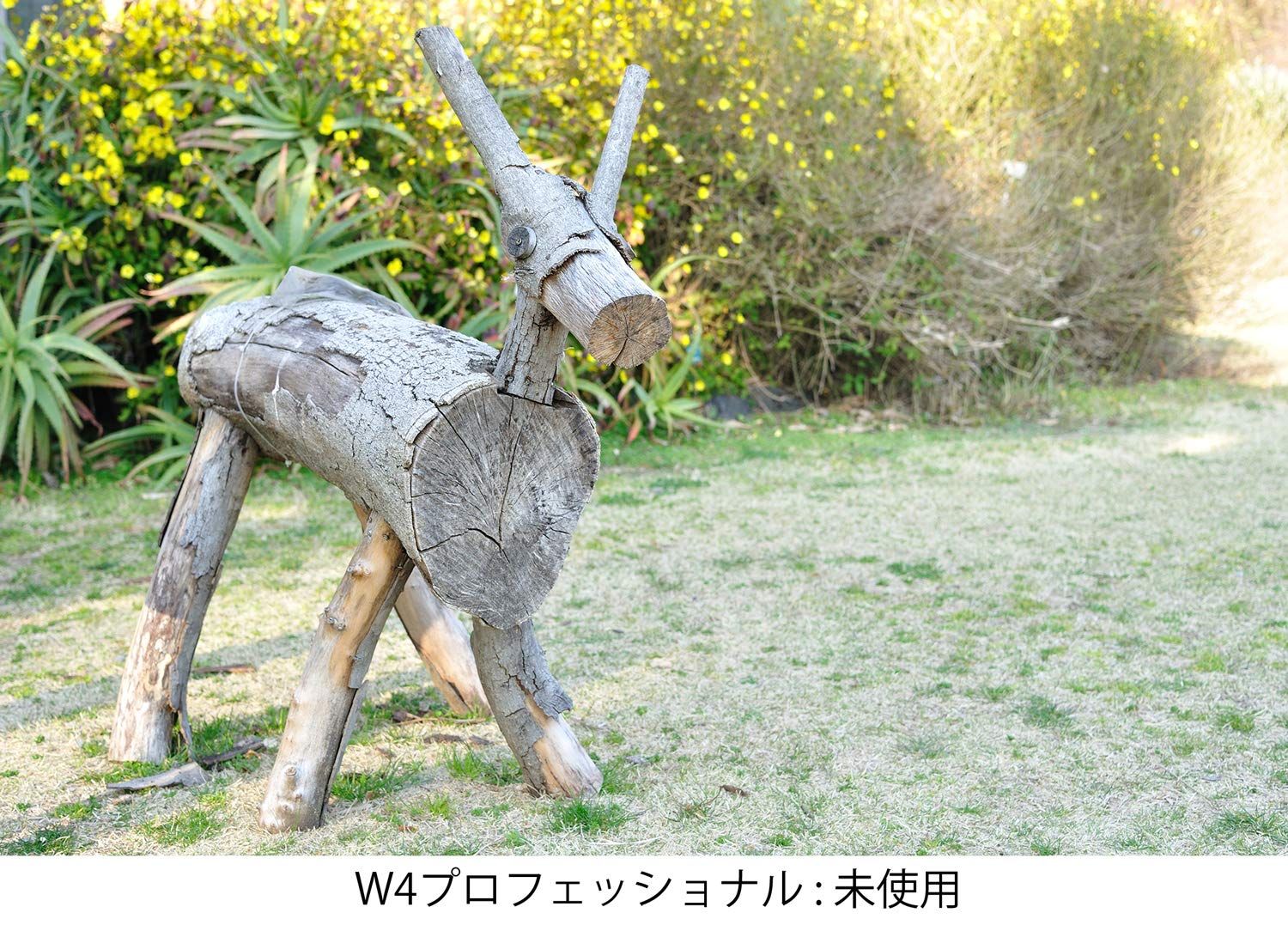 【美品】Canon EF 55-200mm F4.5-5.6 ii usm Kenko レンズフィルター MC W4 プロフェッショナル 62mm 色温度