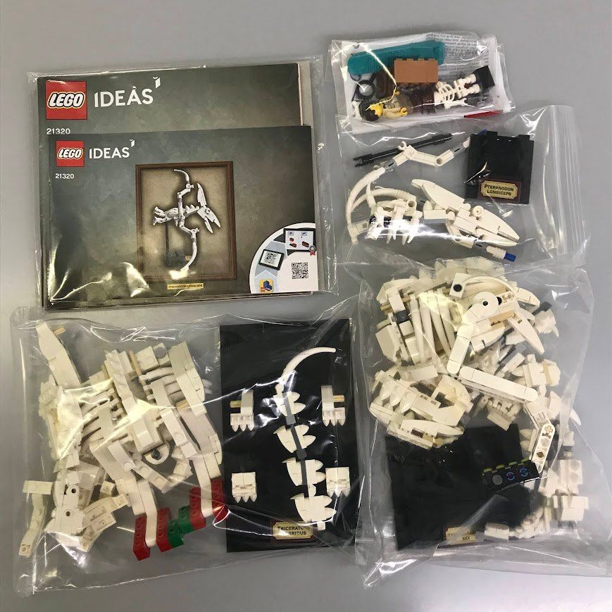 正規品 LEGO レゴ IDEAS 21320 恐竜の化石 外箱・組み立て説明書