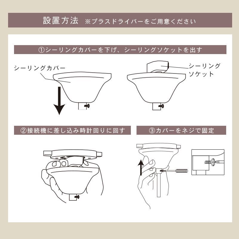 姫系 ライト