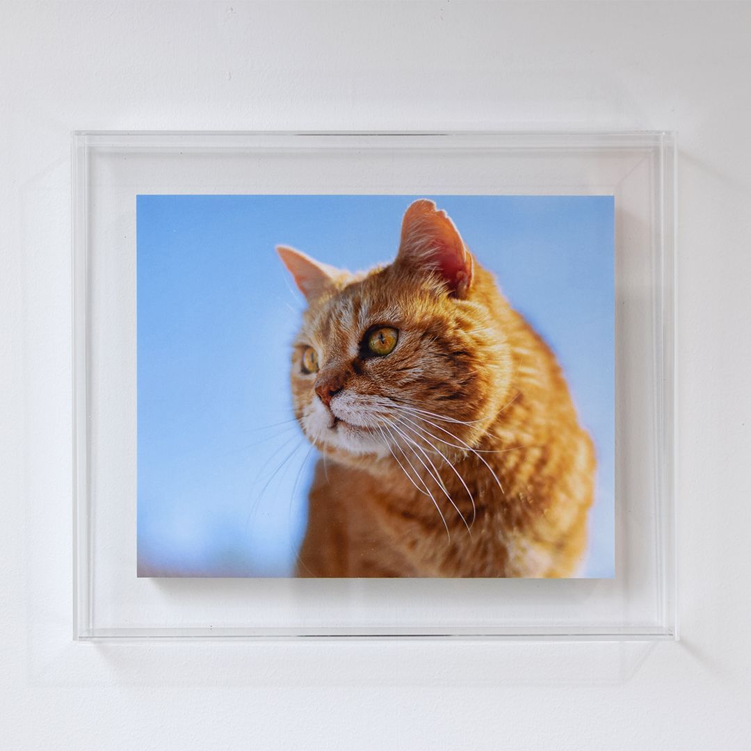 版画額