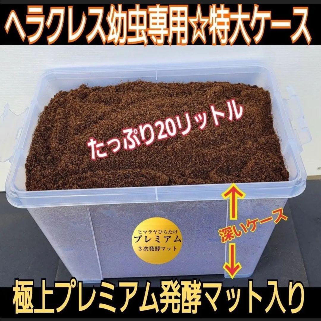 カブトムシ幼虫を入れるだけ! 便利です! 20リットルボックス カブトムシ幼虫を入れるだけ! 便利です! 20リットルボックス