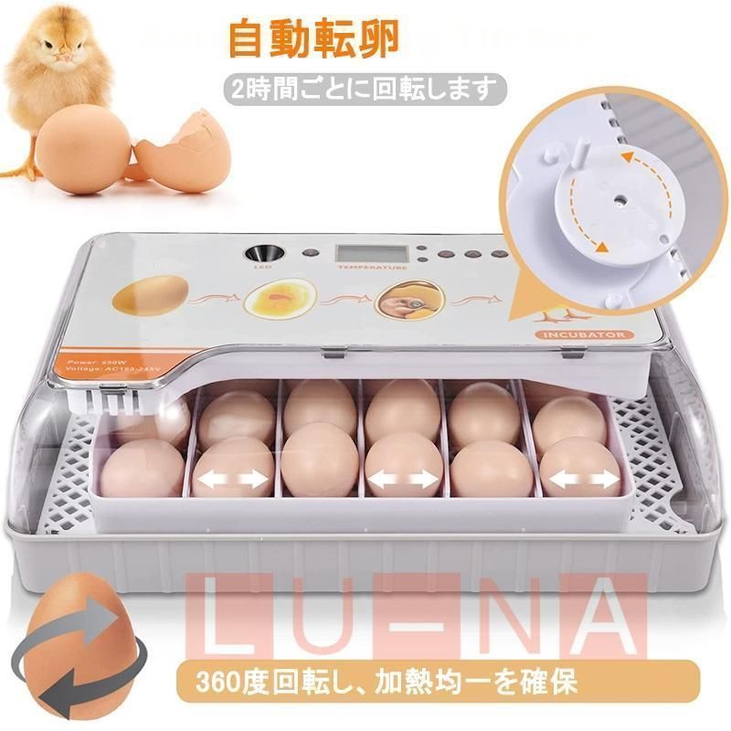 自動孵卵器